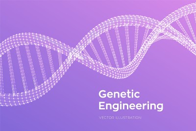 DNA序列。线框DNA分子结构网。DNA代码可编辑模板。科学技术概念。矢量插图。