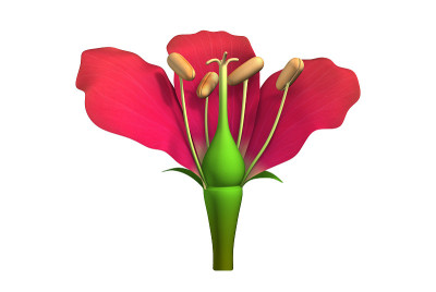 花部分
