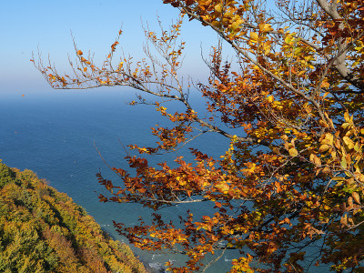 鲁根岛