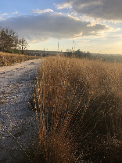 Veluwe