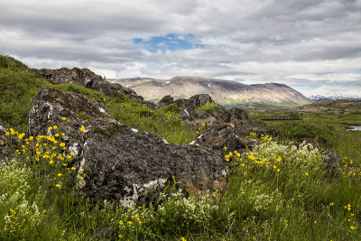 景观Thingvellir