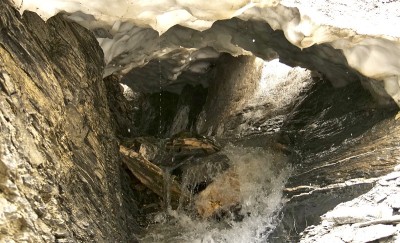 胶水樱桃