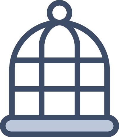 鸟