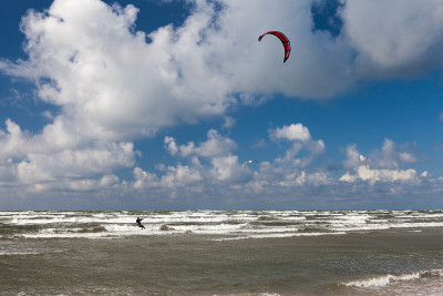 Kitesurfer和海鸥