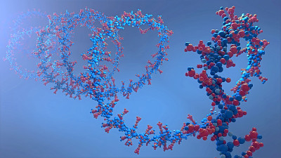 由脱氧核糖核酸或DNA组成的核糖酸链- 3d插图