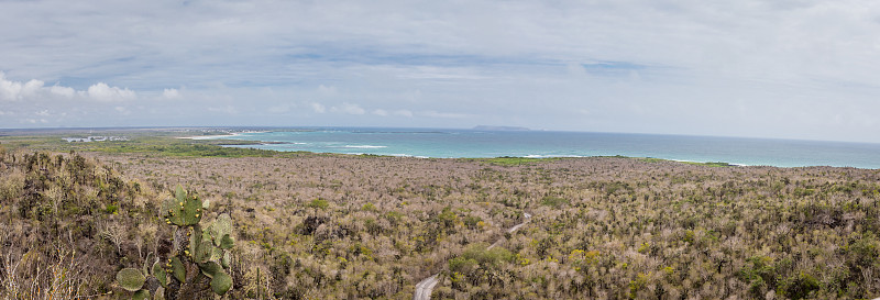 Puerto Villamil, 伊莎贝拉, 加拉帕戈斯