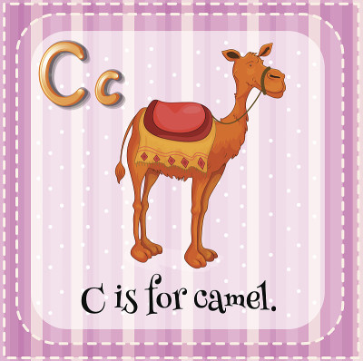 字母C