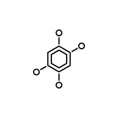 细胞轮廓图标。饮食元素和营养说明图标。用于网站、网页设计、手机应用、UI、UX的标志和符号收集图标