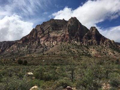 春天的山