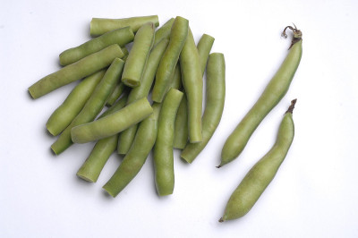 憨豆先生桑德尔