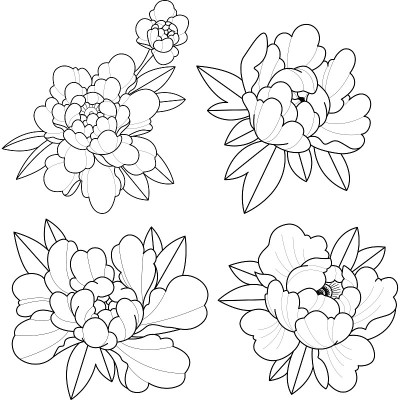 矢量艺术插图花设置玫瑰牡丹