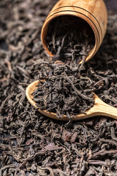 干红茶大叶茶