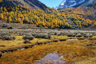 美丽的山景