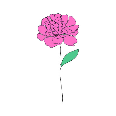 白花牡丹