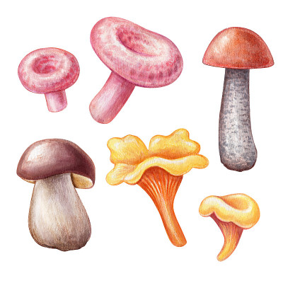 水彩插图，幻想万圣节蘑菇，孤立的白色背景