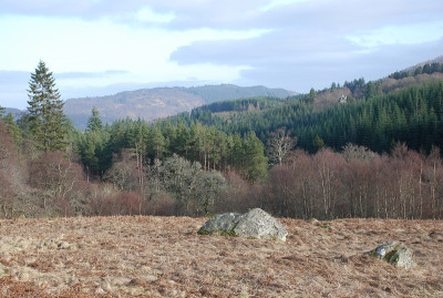从Braan Walk看Pitlochry