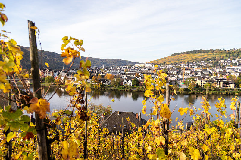 Bernkastel-Kues和摩泽尔河的秋天，前景中有多色的葡萄园