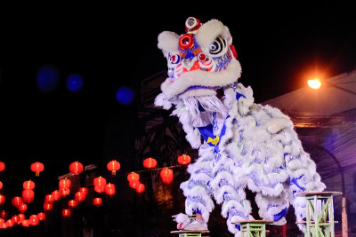 舞狮在中国新年，泰国。