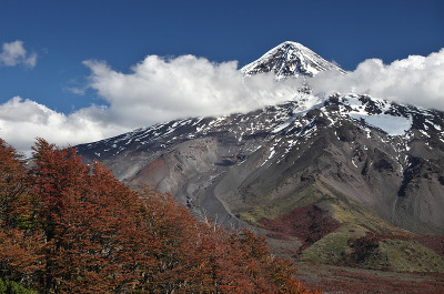 在Lanín火山的底部