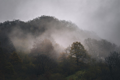 山林中雾蒙蒙的早晨