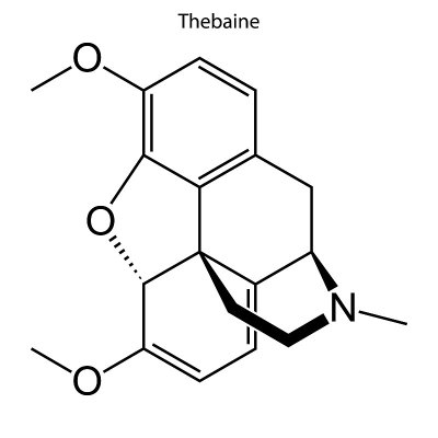 化学分子的骨架式。