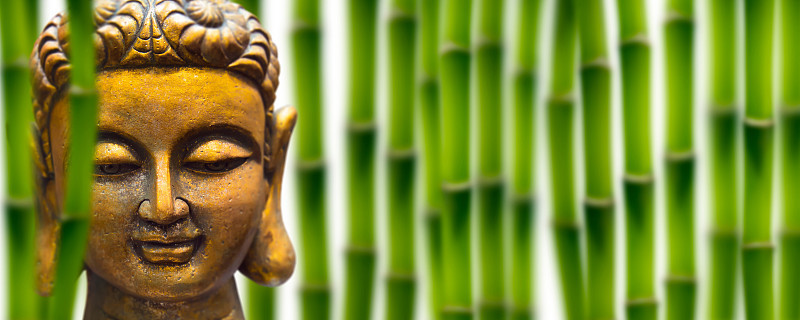 竹子背景上的金佛
