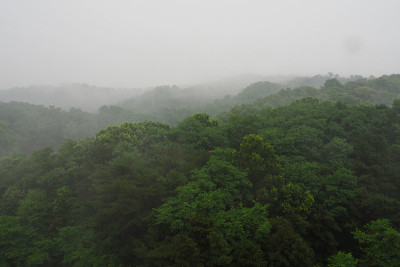 雨季