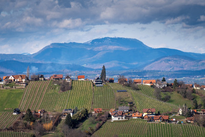 Schilcherland Stainz Wine Route葡萄路线与葡萄园和山Schoeckl