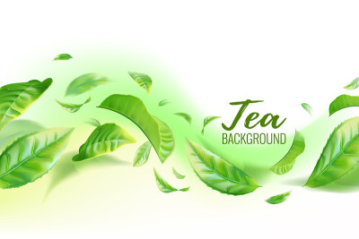 逼真的绿茶叶背景的广告海报。矢量图