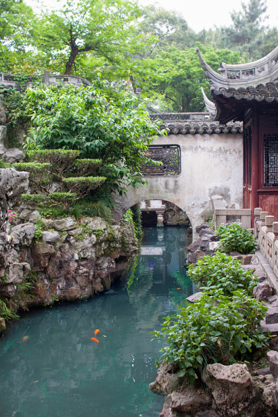 有植物和建筑的湖