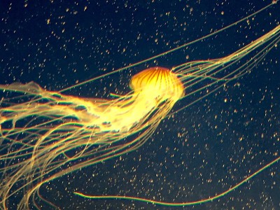 水族馆