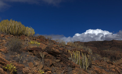 大加那利岛，风景沿徒步旅行路线之间的ravives Barranco del Toro和Barran