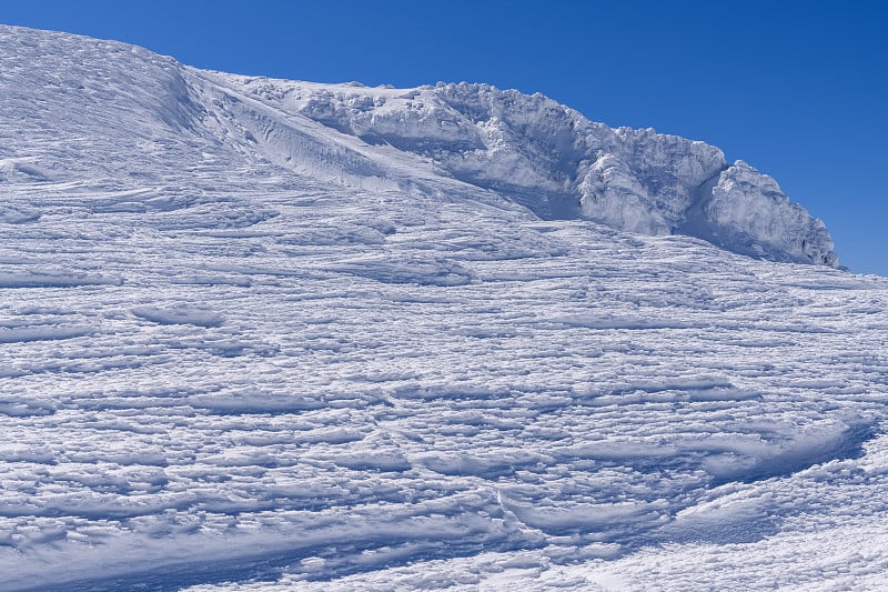 藏山的熊野山