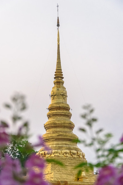 黄金架构