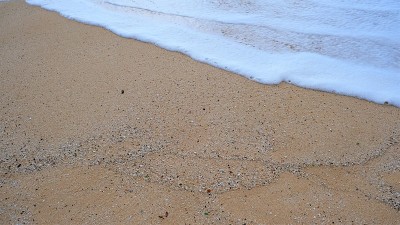 夏威夷海滩上的光滑沙滩上有破碎的贝壳碎片