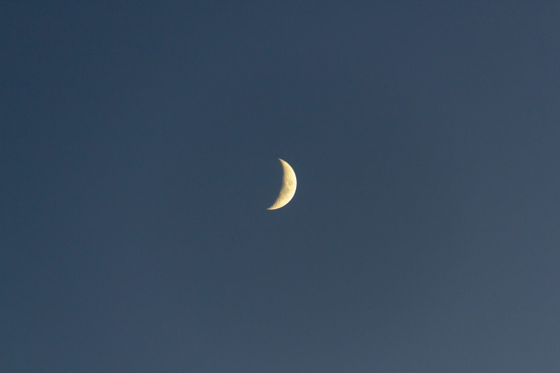 新月在黑暗的夜空中