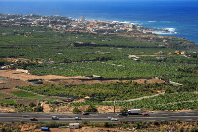 Tenerife