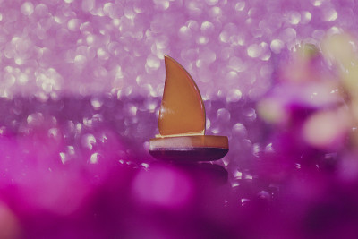 船和鲜花