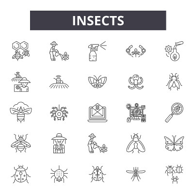 Insects line icons, signs set, vector. Insects out