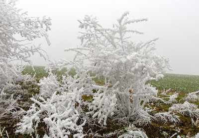 下雪的冬天的风景