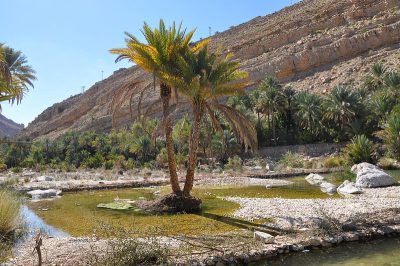 阿曼，瓦地班尼洗澡水池