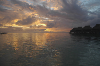 美丽的金色的夕阳