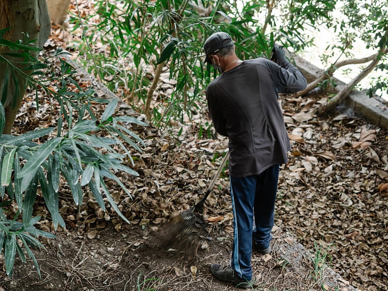 Gardener with hat, mask and glasses does his job w