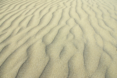 沙波纹