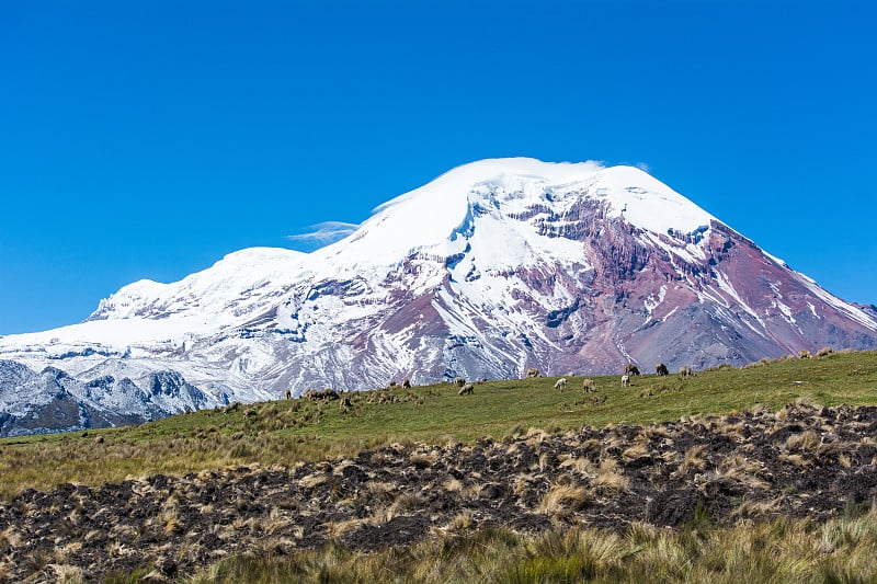 厄瓜多尔安第斯山脉的钦博拉索火山景观