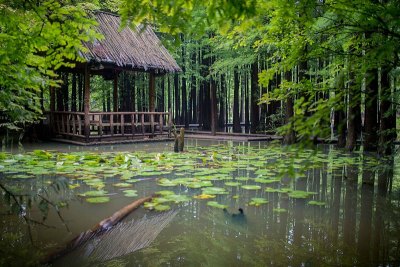 池塘上的中国馆