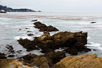 Point Lobos State Reserve