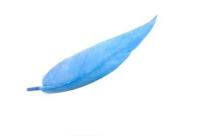 羽毛