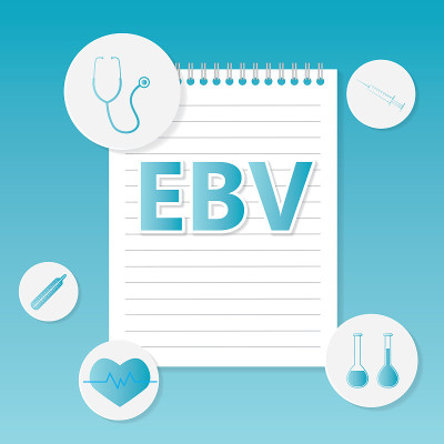 EBV(爱泼斯坦-巴尔病毒)医学概念
