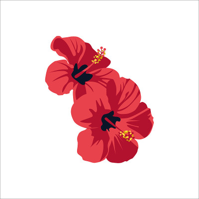 芙蓉盛开着奇异的花朵
